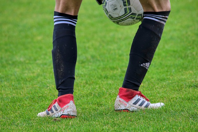 门的代表性 门的代表性