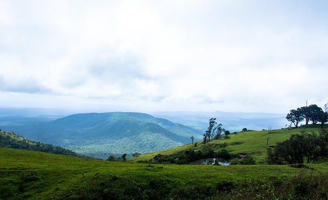 不仅限于篮 不仅限于篮