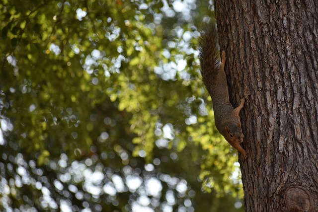米个人混合 米个人混合