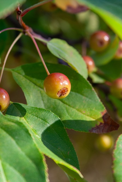 位的地方 位的地方
