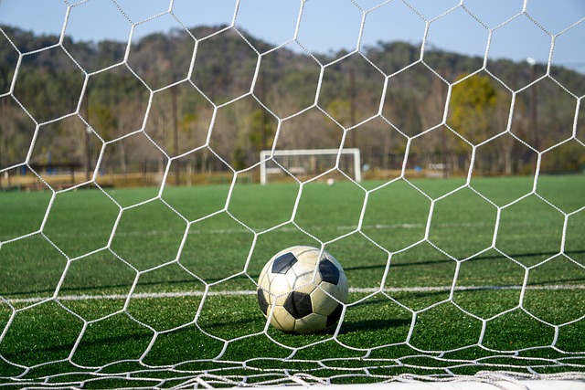 有一定关系 有一定关系