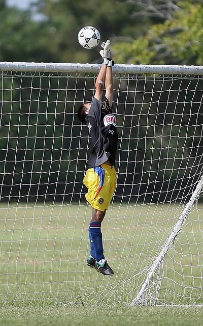 的高光时刻 的高光时刻